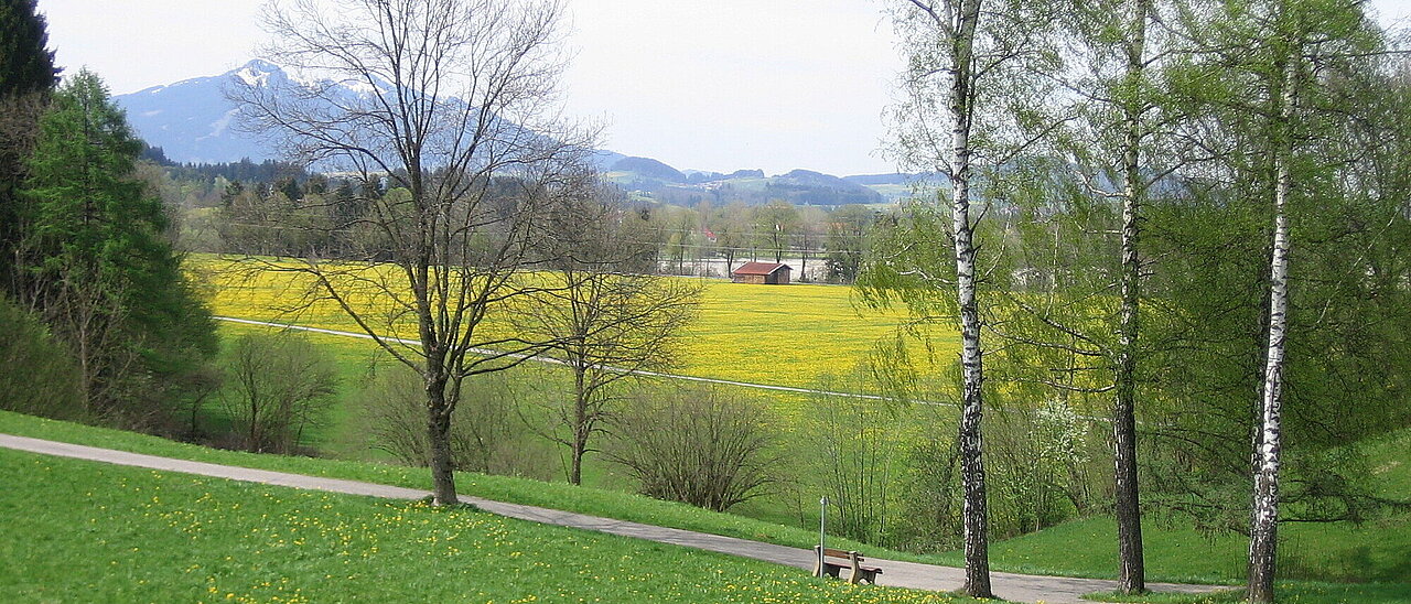 Nature is awakening in the springtime in Schwangau