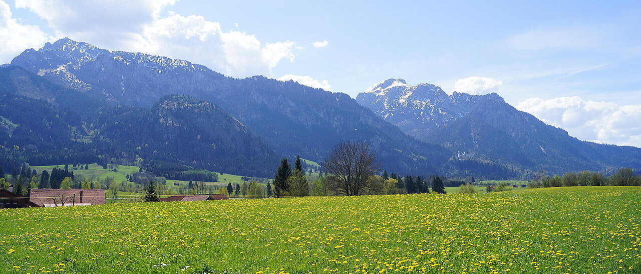 The mountains of Tegelberg and Säuling in Schwangau