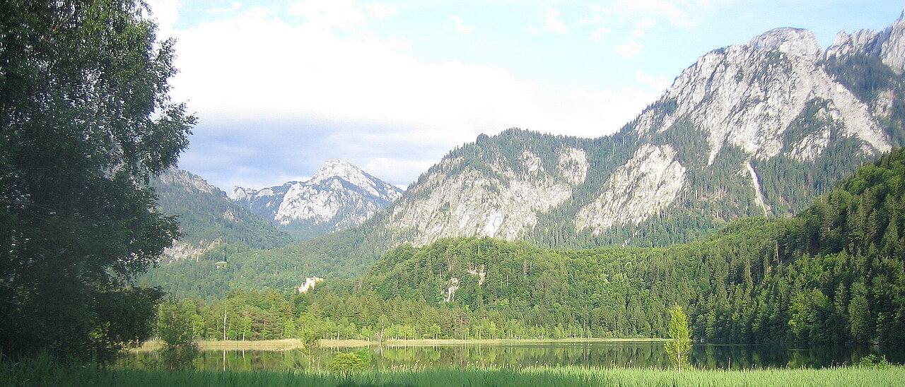 Hiking trail next to lake Schwansee