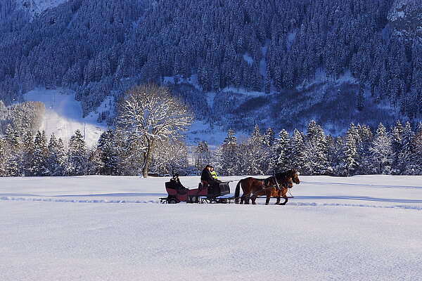 Carriage ride in the wintertime in Schwangau