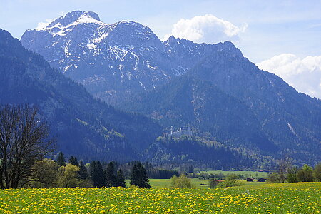 The "Säuling" mountain and castle Neuschwanstein